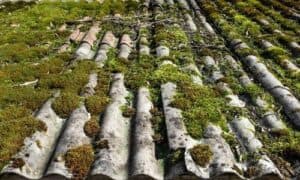 La legislazione vigente in materia di rifiuti impone che lo smaltimento dei rifiuti pericolosi come l’amianto, debba avvenire seguendo delle procedure particolari