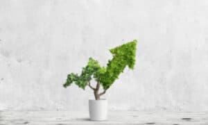 Utilizzando risorse interne la società si preoccupa di aiutare professionisti ed aziende, attraverso una consulenza ambientale