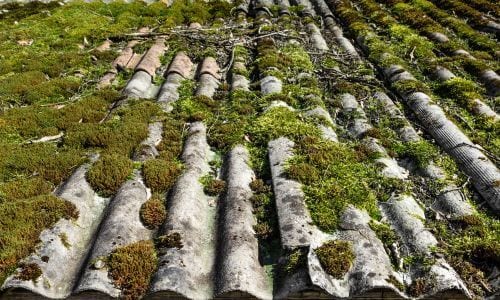 La legislazione vigente in materia di rifiuti impone che lo smaltimento dei rifiuti pericolosi come l’amianto, debba avvenire seguendo delle procedure particolari
