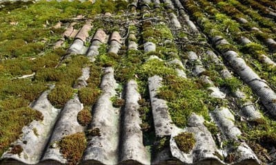 La legislazione vigente in materia di rifiuti impone che lo smaltimento dei rifiuti pericolosi come l’amianto, debba avvenire seguendo delle procedure particolari