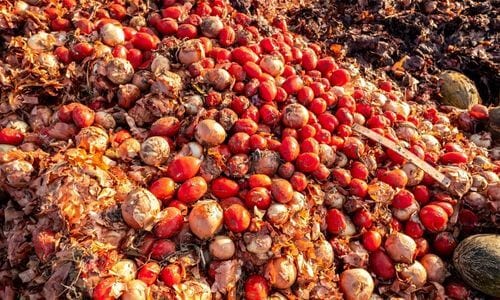 Smaltimento rifiuti Livorno