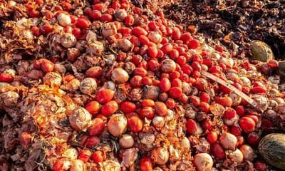 Smaltimento rifiuti Livorno