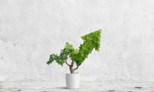 Utilizzando risorse interne la società si preoccupa di aiutare professionisti ed aziende, attraverso una consulenza ambientale